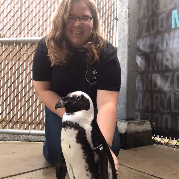 Meet your Posher, Katherine - Picture 1 of 1